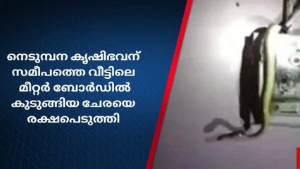വീട്ടിലെ മീറ്റർ ബോർഡിൽ കുടുങ്ങിയ ചേരയെ രക്ഷപ്പെടുത്തി