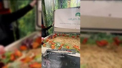 Anne oğlunun cesedini gübreye dönüştürdü! İşte o şok  görüntüler