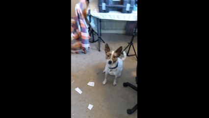 The Best way to dispose of your TV Licencing letters.