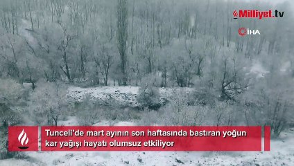 Tunceli’de kar yağışı hayatı olumsuz etkiliyor