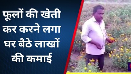 सोनभद्र: इंजीनियरिंग की नौकरी छोड़ किसान बना शख्स, गेंदे की खेती से कमा रहा लाखों
