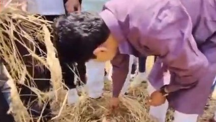 दतिया: भाजपा नेताओं ने किया ओला प्रभावित गांवों का दौरा, फ़सल नुकसान का लिया जायजा