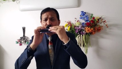 Tumhe Yaad Hoga Kabhi Hum Mile The-Duet-Film Satta Bazaar 1959 on Harmonica Live Performance by Mukund Kamdarr-1