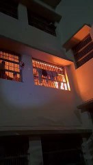 SURAT VIDEO NEWS : गुजरात की जेलों में चल रहा था पोपाबाई का राज