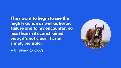 The 2-Minute Rule For concacaf nations league