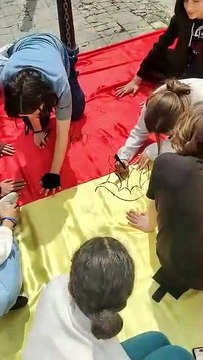 Catanzaro in serie B: bandiera da record realizzata dagli alunni del De Nobili