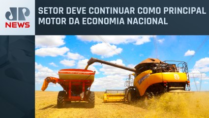 Agronegócio brasileiro pode crescer até 12% neste ano
