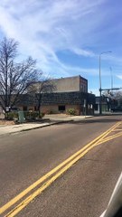 How Did That Dog Get Up There?