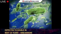Scientists sound alarm over flesh-eating bacteria expected to DOUBLE in