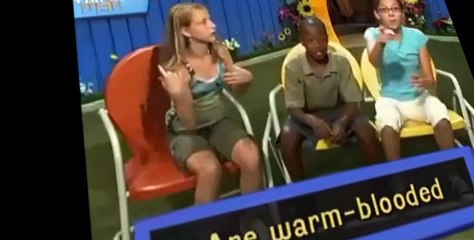 Fetch! with Ruff Ruffman Fetch with Ruff Ruffman S02 E008