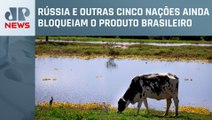 Quatro países retiram embargo à carne bovina brasileira após China