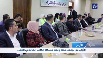 مبادرة الأولى من نوعها في الأردن..  للحد من ظاهرِة انتشار الكلاب الضالة
