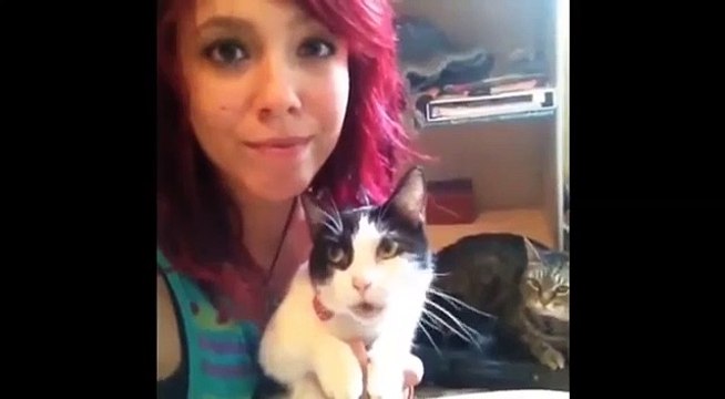 Ultimate cat vines compilation - Best cat vines 2014 2015 .I hope you enjoy watching!