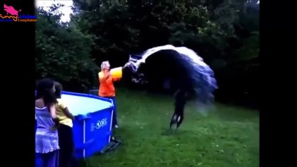 Funny baby video laughing  dog funny video funniest ever 2015