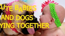 Cute babies and dogs playing together Funny baby & dog compilation