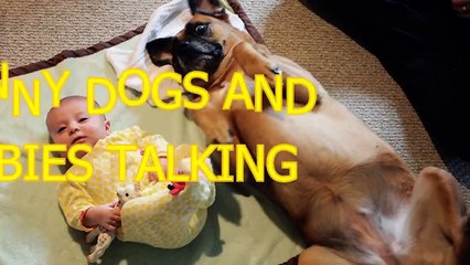Funny dogs and babies talking Cute dog & baby compilation   Funny Baby Videos (2)