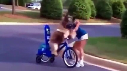 Dogs just don't want to bath   Funny dog bathing compilation