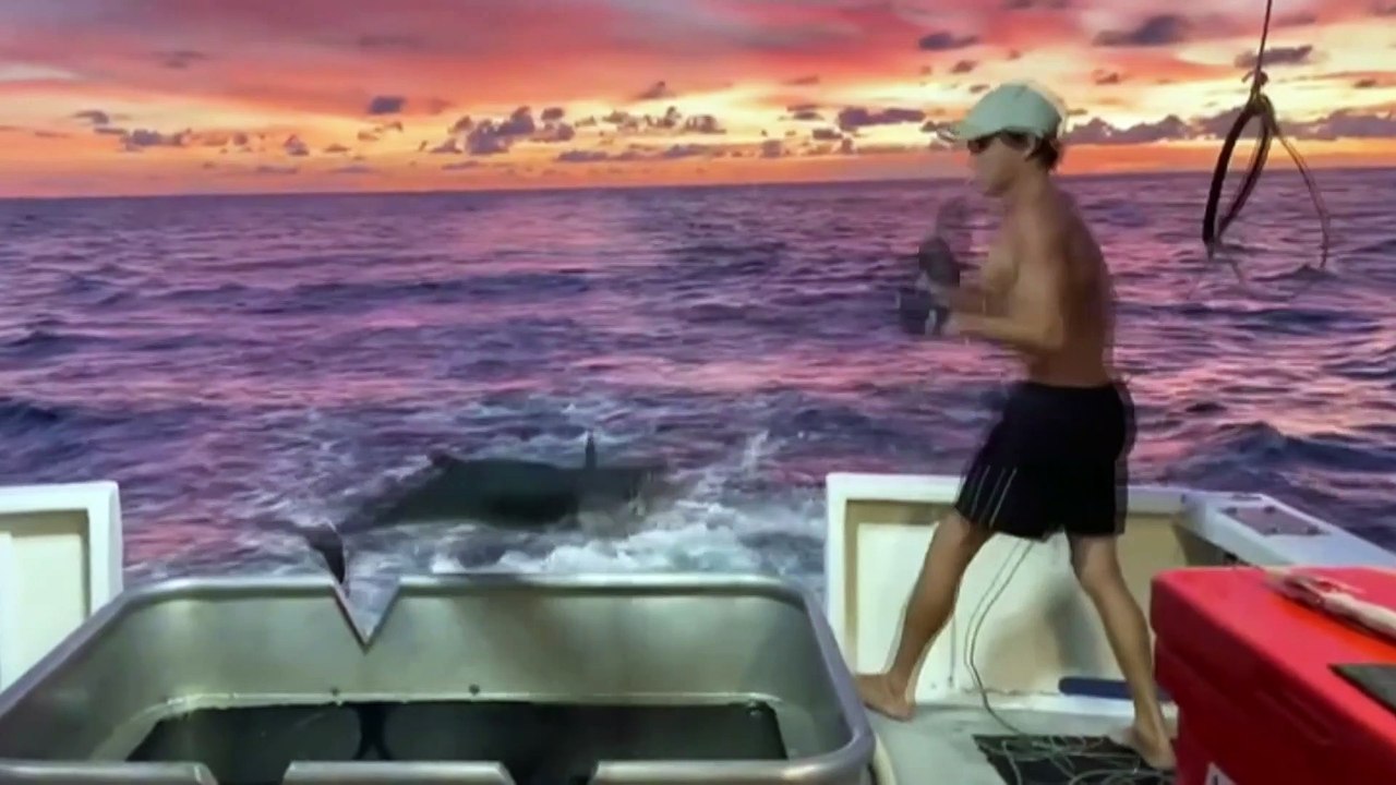 Mental health crisis grips Australia's commercial fishing industry