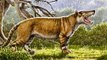 Razor Jaw ~ Hyaenodon - Prehistoric Predators - Full Documentary