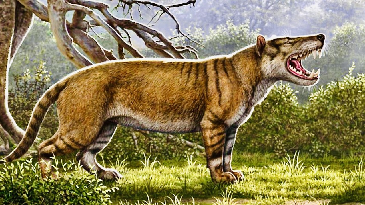 Razor Jaw ~ Hyaenodon - Prehistoric Predators - Full Documentary