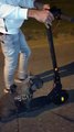 Lazy Dog Rides on Electric Scooter