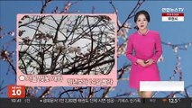 [날씨] 휴일 곳곳 황사 영향권…동해안 비 조금