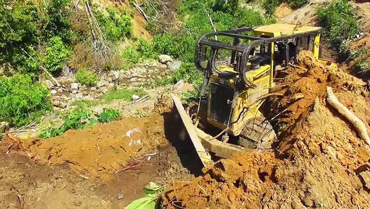 The Power of Earth Diggers in Oil Palm Fields || Bulldozers D6R XL