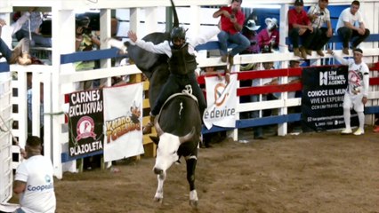 Monta El Trago Amargo - Sábado 25 de marzo