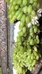 bholenath shiv mahakal mahadev harharmahadev bhajans