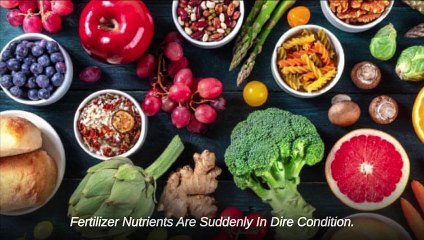 Peter Zeihan  The Terrifying Reality Its Started_