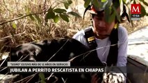Perro es jubilado después de doce años laborando en la Unidad de Búsqueda y Rescate; Chiapas