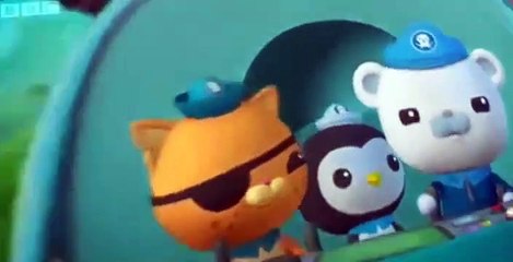 The Octonauts S1, 2, 3 Season 02 E002 - Adelie Penguin