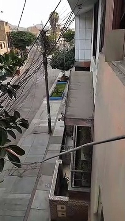 ¡No tiene miedo a nada!