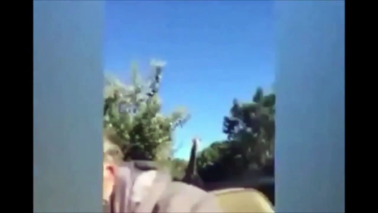 FUNNY ANIMAL ATTACK , Animals Attacking Humans Compilation 2015 (3)