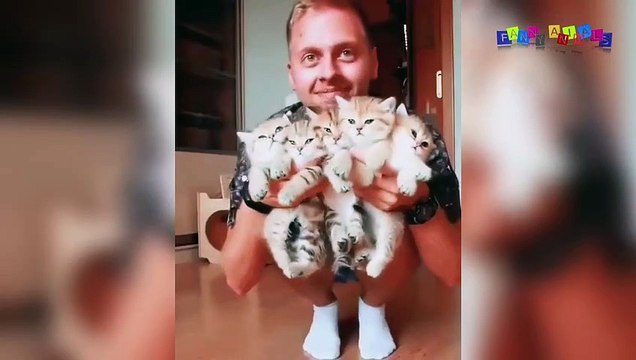 Просто приколы с котанами. Букет из котят.