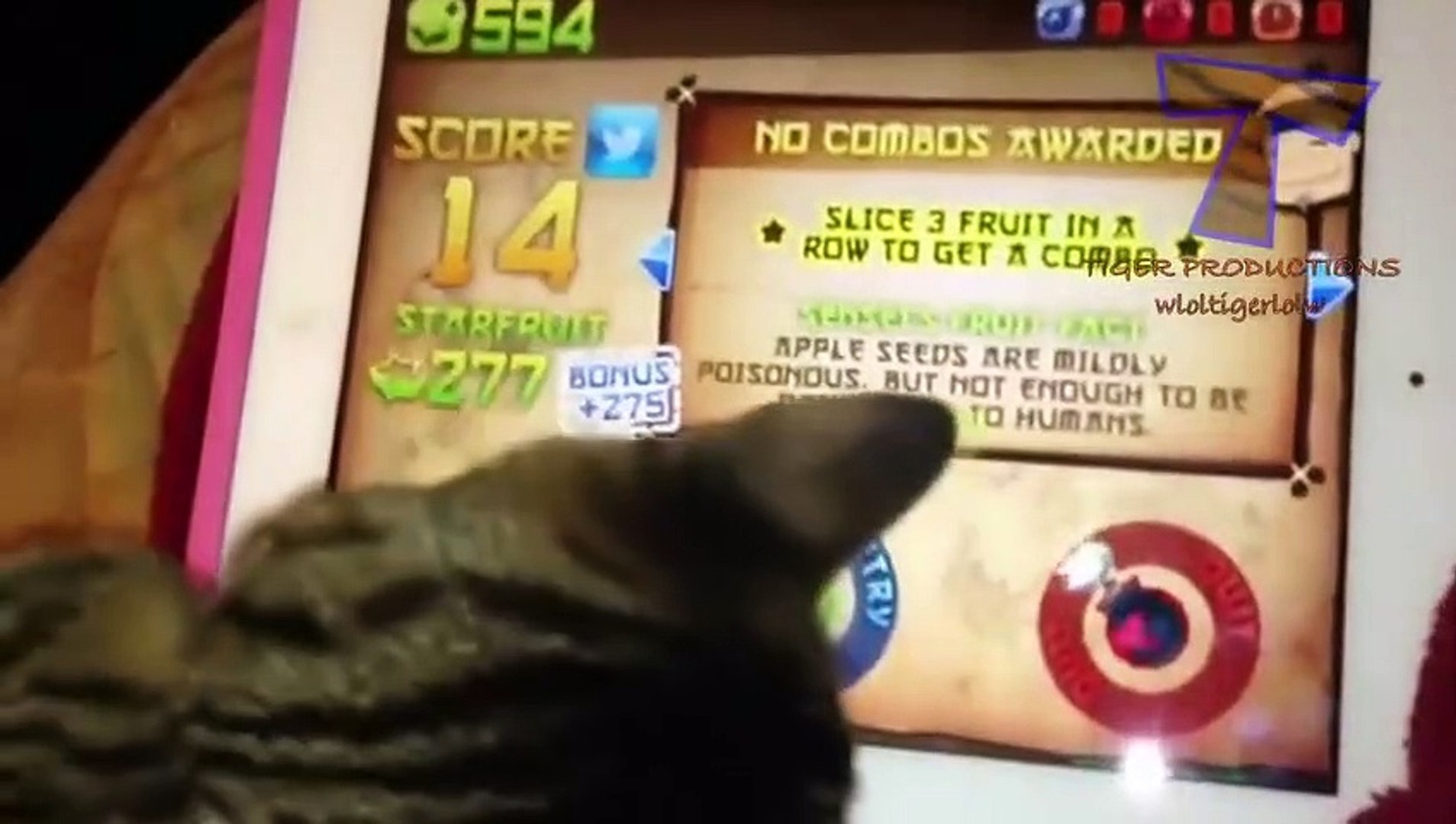⁣Pets playing video games   Funny animal compilation