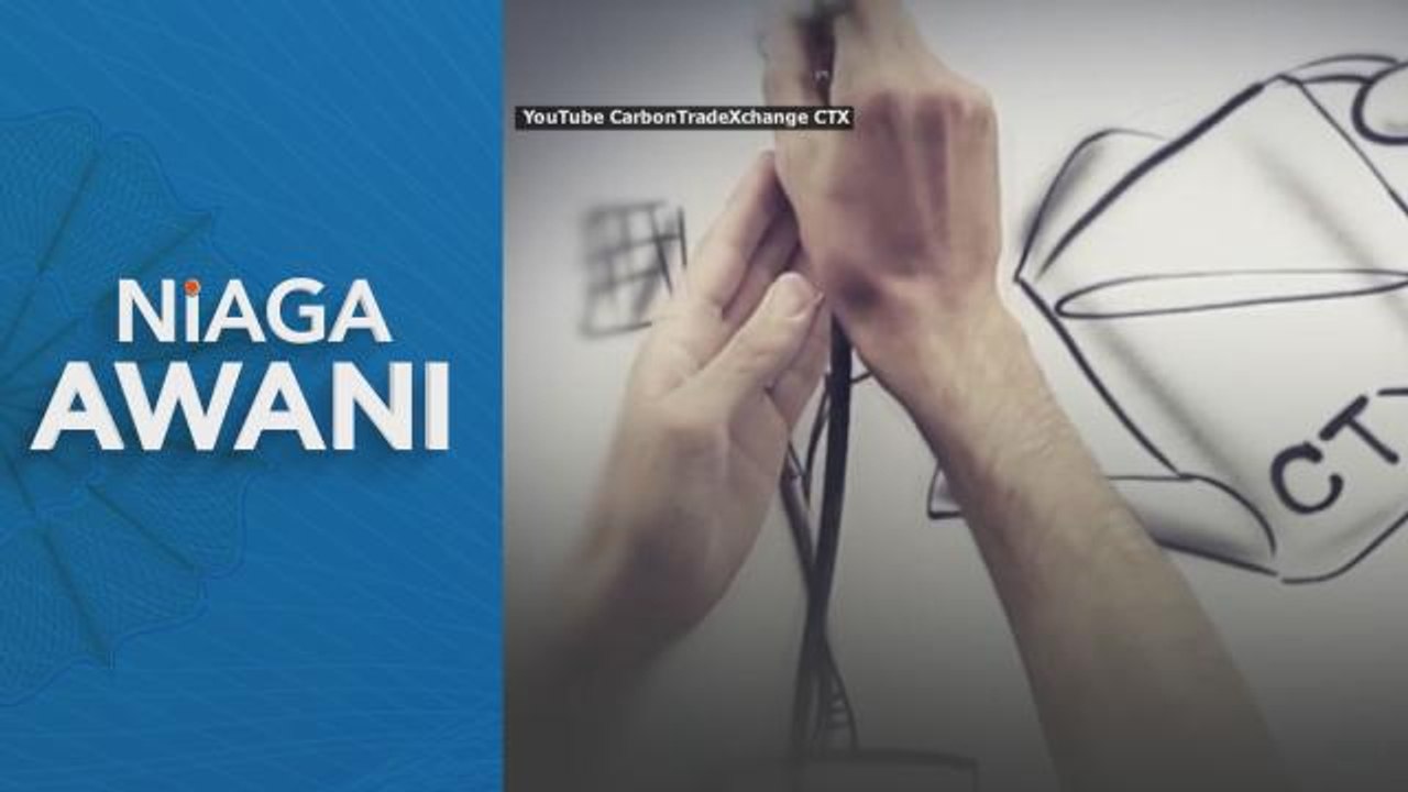 Quality standards carbon offsetting industry