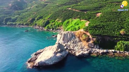 Zen Meditation Music for Inner Peace