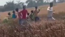 देवरिया: शार्ट सर्किट से लगी गेंहू की खेत में आग, पुलिस और ग्रामीणों ने आग पर पाया काबू