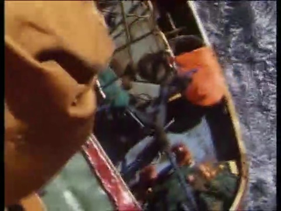 Rescue Episode 1 Budding Rose