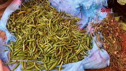 ارتفاع مهول في أسعار الخضر وغياب بعضها بتمارة ومهنيون_ الناس مقصحة وهادشي معمرنا شفناه