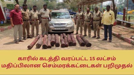 வேலூர்: ரூ.15 லட்சம் மதிப்பிலான 12 செம்மரக்கட்டைகள் பறிமுதல்