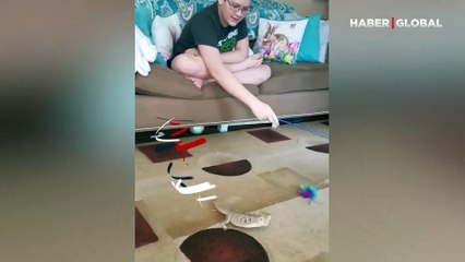 Kendini kedi zanneden kertenkele kahkahaya boğdu