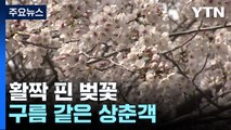 활짝 핀 벚꽃만큼 반가운 3년 만의 봄 축제 / YTN