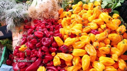 ارتفاع أسعار الخضر يلهب جيوب المواطنين بوجدة ومهنيون _ هادشي بزاف السلعة غالية والإقبال قليل