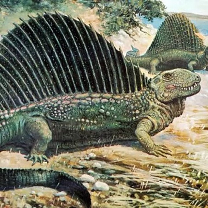 synapsids - video Dailymotion
