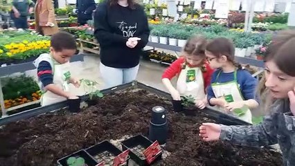 VID-20230316-semaine jardinage plérin magasin vert