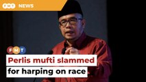 Netizens take Perlis mufti to task for questioning composition of ministry panel