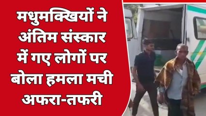 किशनगढ़: अंतिम संस्कार में गए लोगों पर मधुमक्खियों ने किया हमला..और देखिए आगे