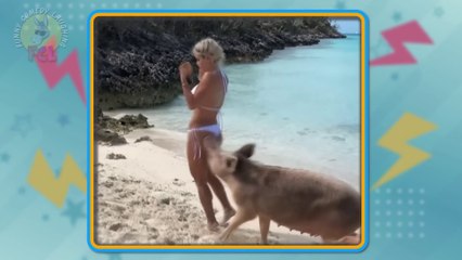 Best Funny Video & fails no1 #funny comedy laughing